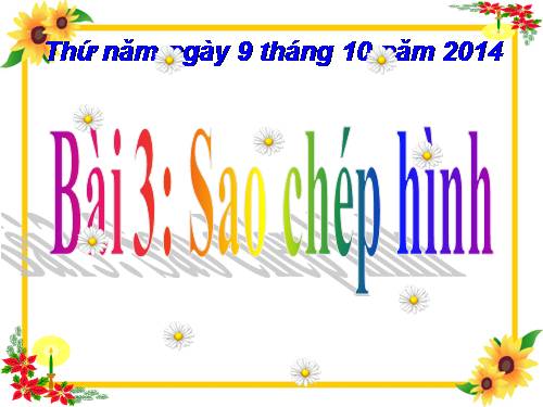 Chương II. Bài 3. Sao chép hình