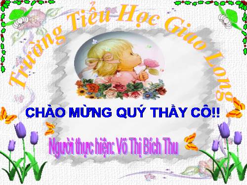 Chương V. Bài 6. Trình bày chữ đậm, nghiêng