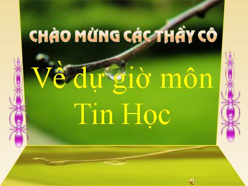 Chương V. Bài 1. Những gì em đã biết