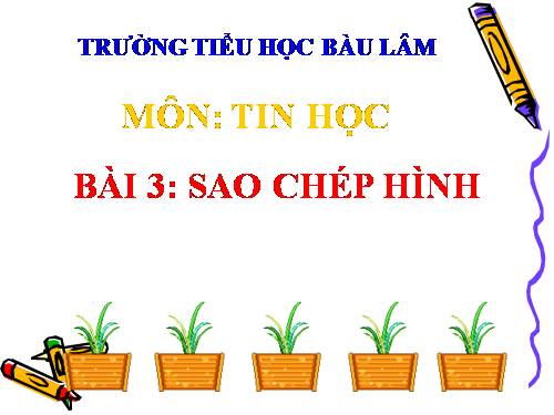 Chương II. Bài 3. Sao chép hình