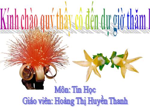 Chương II. Bài 4. Vẽ hình e-líp, hình tròn
