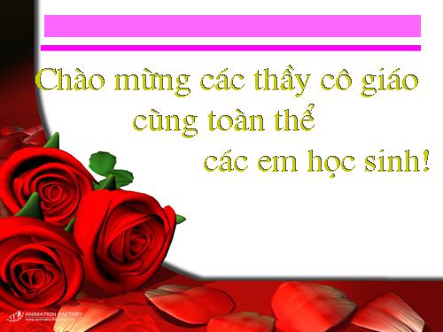 Chương VII. Bài 1. Làm quen với Encore