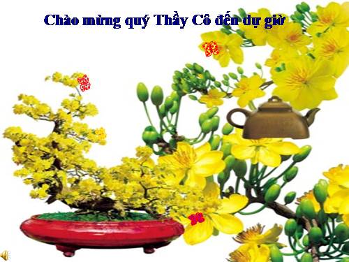 Chương V. Bài 6. Trình bày chữ đậm, nghiêng