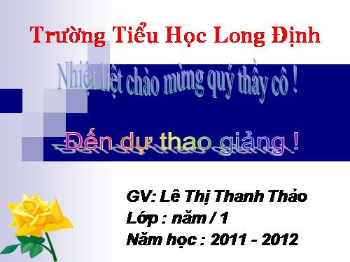 Chương IV. Bài 2. Khám phá rừng nhiệt đới