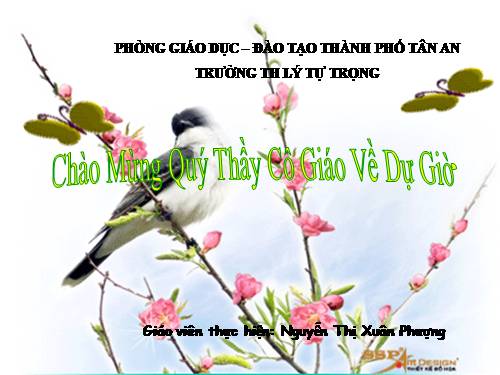 Chương III. Bài 2. Gõ từ đơn giản