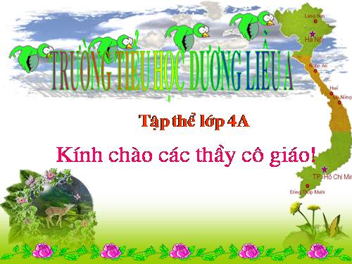 Chương II. Bài 5. Vẽ tự do bằng cọ vẽ, bút chì