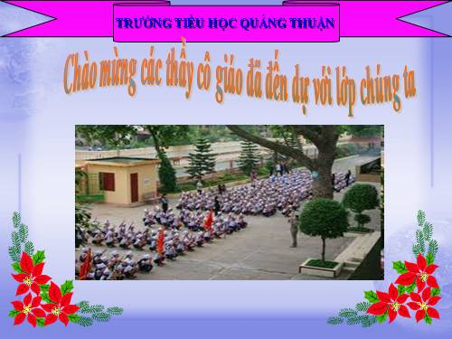 Chương V. Bài 6. Trình bày chữ đậm, nghiêng