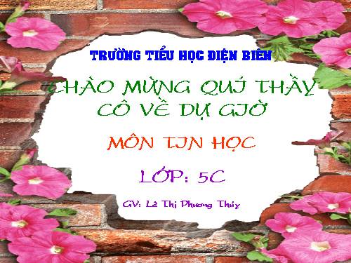 Chương IV. Bài 2. Khám phá rừng nhiệt đới