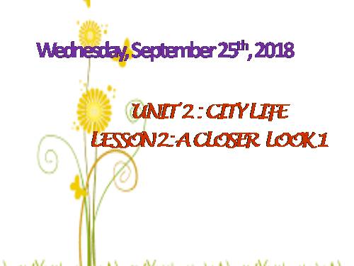 Unit 2. City life. Lesson 2. A closer look 1