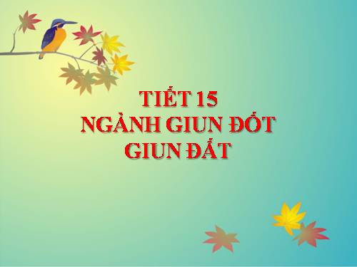 Bài 15. Giun đất