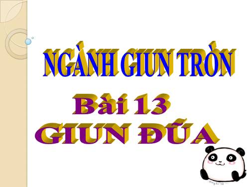 Bài 13. Giun đũa