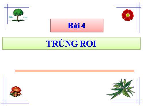 Bài 4. Trùng roi