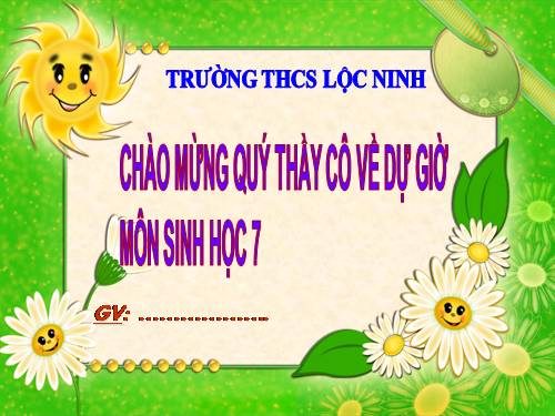 Bài 21. Đặc điểm chung và vai trò của ngành Thân mềm