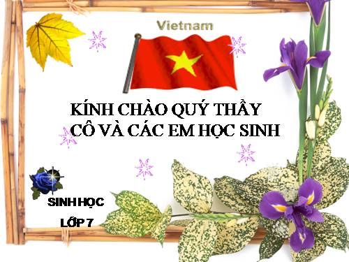 Bài 9. Đa dạng của ngành Ruột khoang