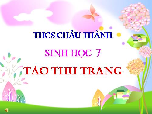 Bài 8. Thủy tức