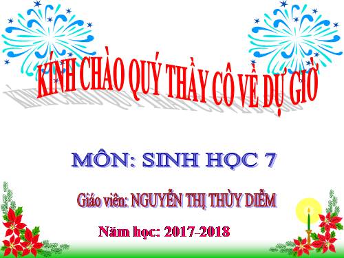 Bài 21. Đặc điểm chung và vai trò của ngành Thân mềm