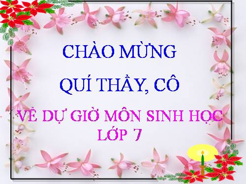 Bài 8. Thủy tức