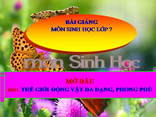 Bài 1. Thế giới động vật đa dạng, phong phú