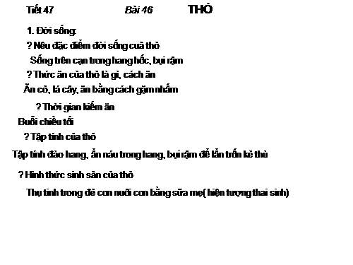 Bài 46. Thỏ