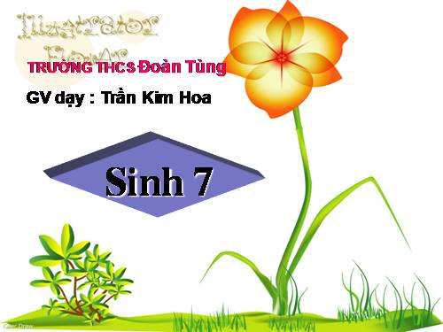 Bài 23. Thực hành: Mổ và quan sát tôm sông