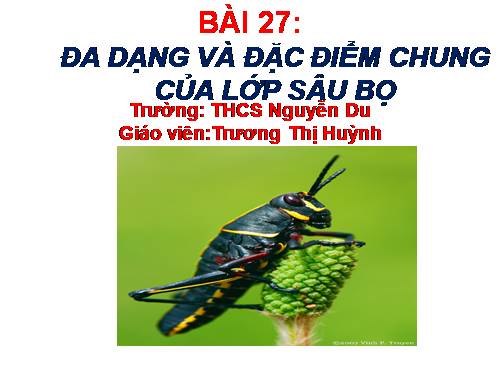 Bài 44. Đa dạng và đặc điểm chung của lớp Chim