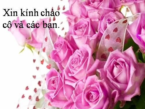 Bài 61. Tìm hiểu một số động vật có tầm quan trọng trong kinh tế ở địa phương