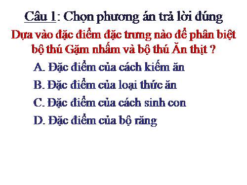 NGOẠI KHÓA ÔN TẬP HKII