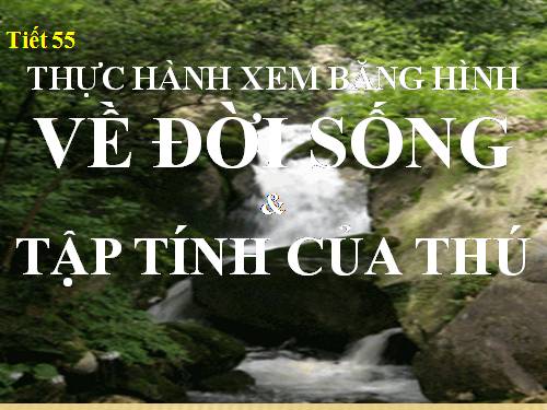 Bài 52. Thực hành: Xem băng hình về đời sống và tập tính của Thú