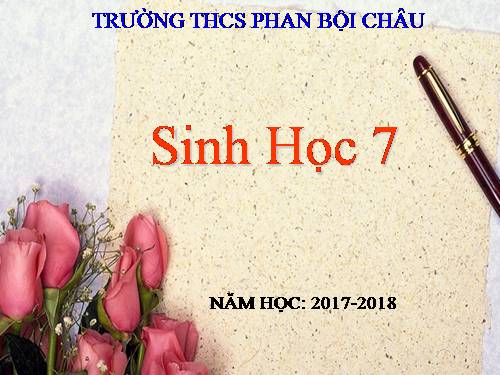 Bài 56. Cây phát sinh giới Động vật