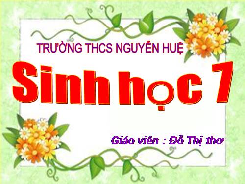 Bài 58. Đa dạng sinh học (tiếp theo)