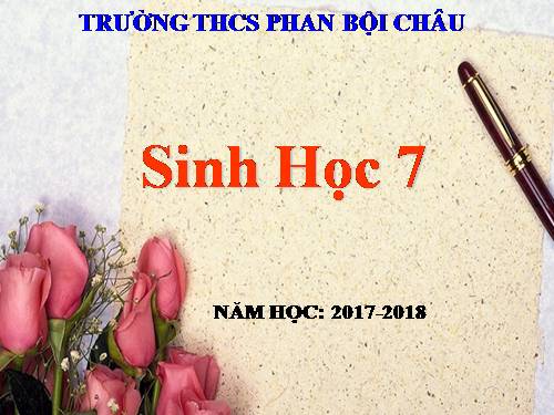 Bài 55. Tiến hoá về sinh sản