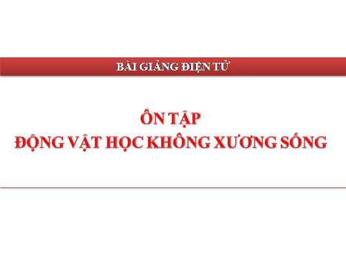 Bài 30. Ôn tập phần I - Động vật không xương sống