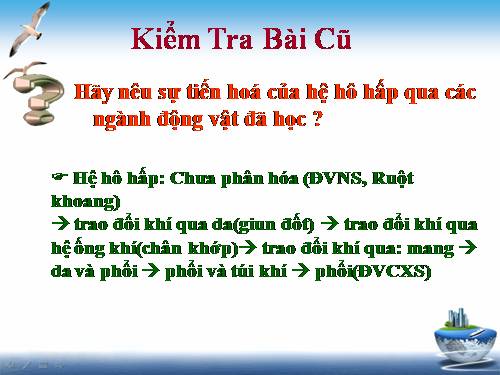 Bài 55. Tiến hoá về sinh sản