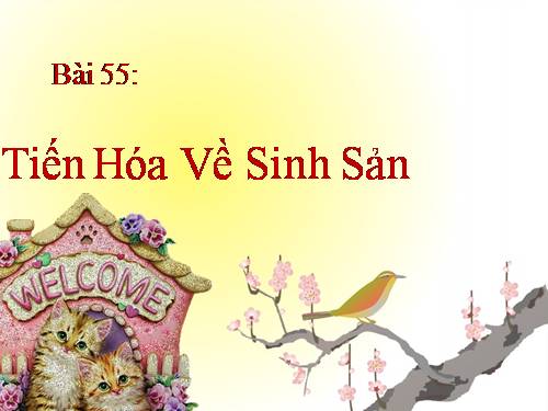 Bài 55. Tiến hoá về sinh sản