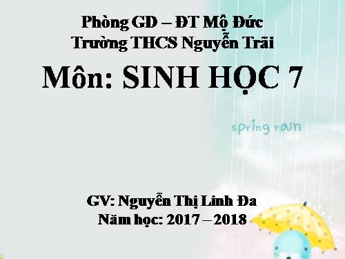 Bài 28. Thực hành: Xem băng hình về tập tính của sâu bọ