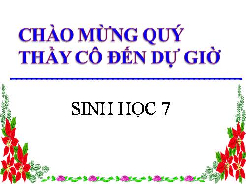 Bài 54. Tiến hoá về tổ chức cơ thể