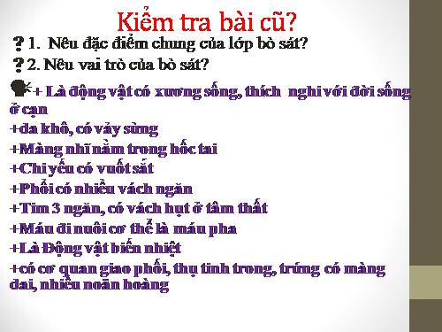 Bài 41. Chim bồ câu