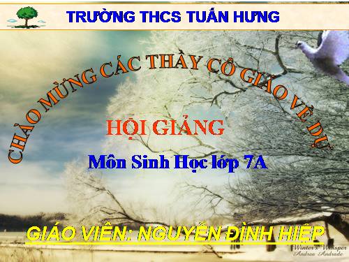 Bài 53. Môi trường sống và sự vận động, di chuyển