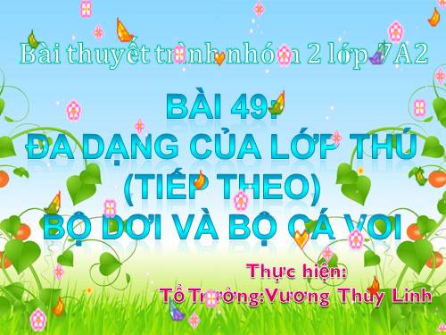 Bài 49. Đa dạng của lớp Thú: Bộ Dơi và bộ Cá voi