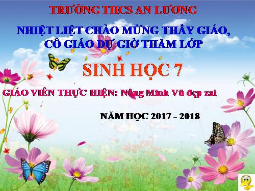 Bài 51. Đa dạng của lớp Thú: Các bộ Móng guốc và bộ Linh trưởng