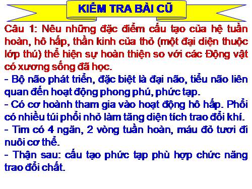 Bài 48. Đa dạng của lớp Thú: Bộ Thú huyệt, bộ Thú túi