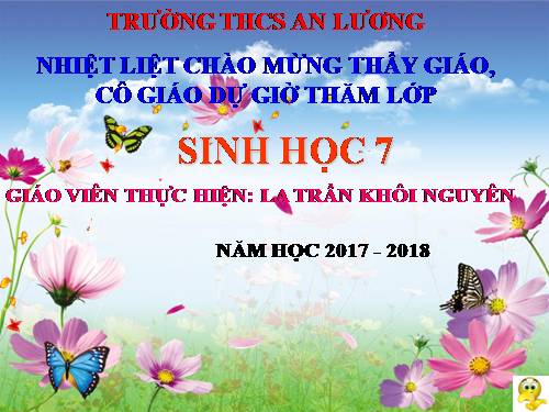 Bài 51. Đa dạng của lớp Thú: Các bộ Móng guốc và bộ Linh trưởng