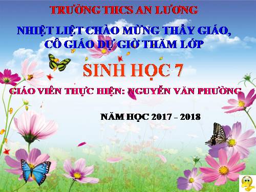 Bài 51. Đa dạng của lớp Thú: Các bộ Móng guốc và bộ Linh trưởng