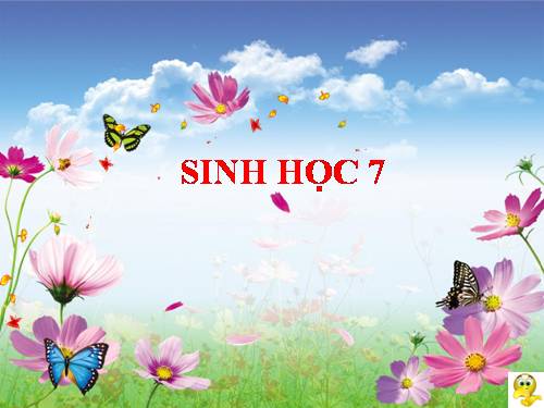 Bài 51. Đa dạng của lớp Thú: Các bộ Móng guốc và bộ Linh trưởng