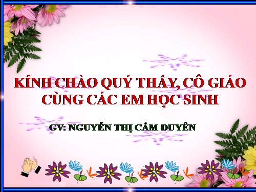 Bài 48. Đa dạng của lớp Thú: Bộ Thú huyệt, bộ Thú túi