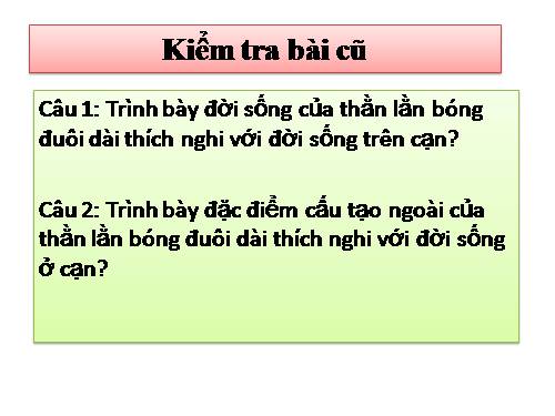 Bài 39. Cấu tạo trong của thằn lằn