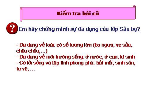 Bài 28. Thực hành: Xem băng hình về tập tính của sâu bọ