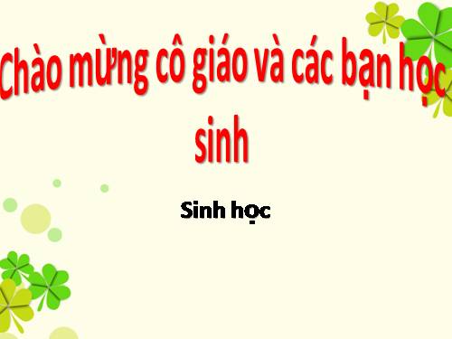 Bài 44. Đa dạng và đặc điểm chung của lớp Chim