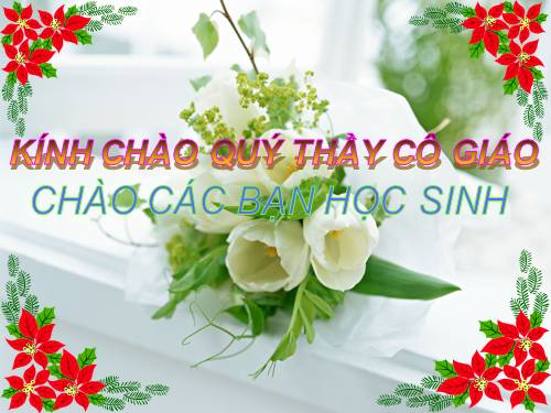 Bài 21. Đặc điểm chung và vai trò của ngành Thân mềm