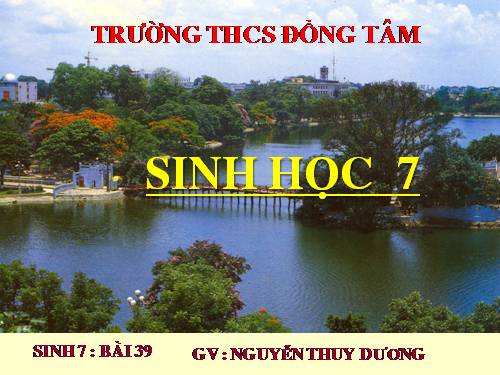 Bài 39. Cấu tạo trong của thằn lằn